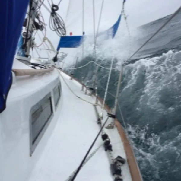 Slide: The Image of Rival Sloop 1980 - 6