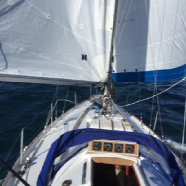 Slide: The Image of Rival Sloop 1980 - 9