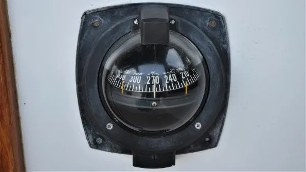 Slide: The Image of Morris Annie 29 1982 - 8