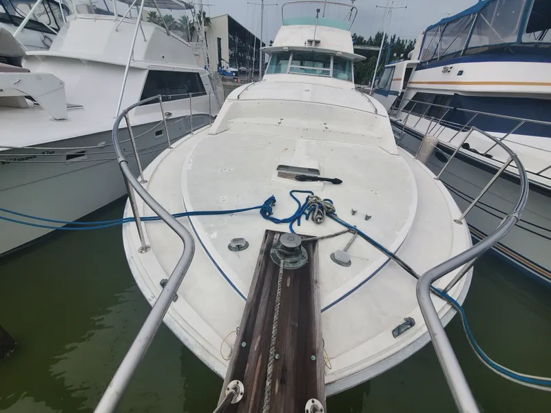 Slide: The Image of Bertram Motor Yacht 1975 - 1
