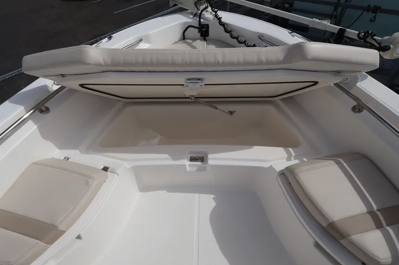 Slide: The Image of Boston Whaler 250 Dauntless 2023 - 25