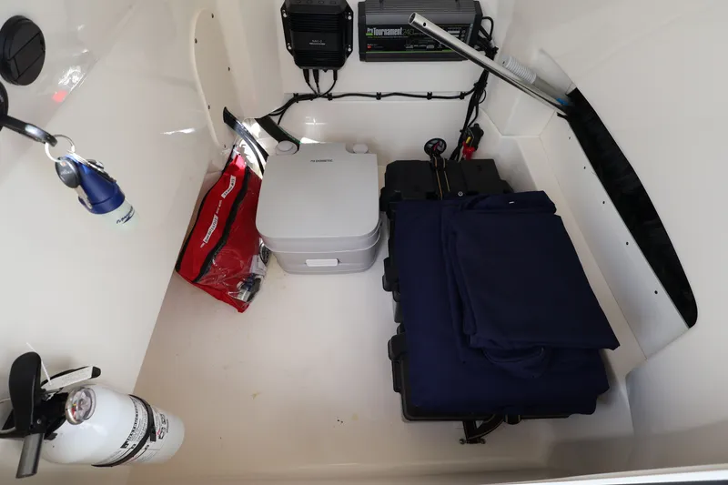 Slide: The Image of Boston Whaler 250 Dauntless 2023 - 31
