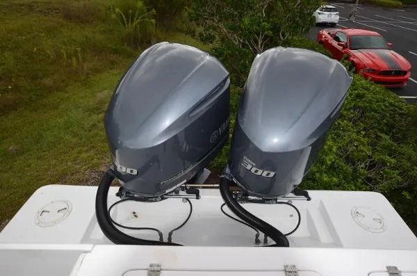 Slide: The Image of Contender 31 Fish Around 2001 - 2
