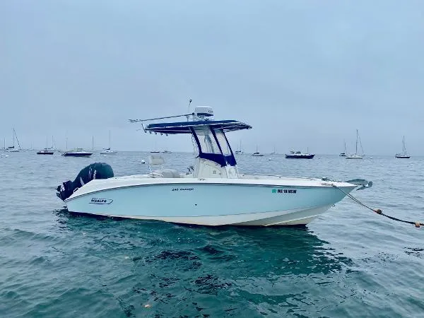 Slide: The Image of Boston Whaler 240 Outrage 2006 - 3