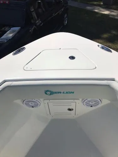 Slide: The Image of Sea-Lion Center Console 2021 - 11