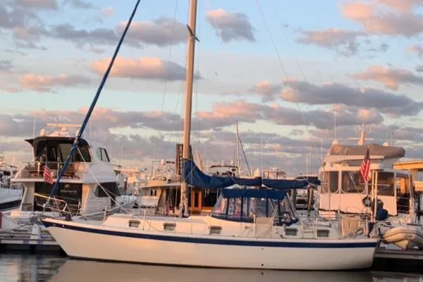 Slide: The Image of Gulfstar 41 1973 - 0