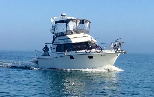Slide: The Image of Carver Yachts Convertible 1986 - 0
