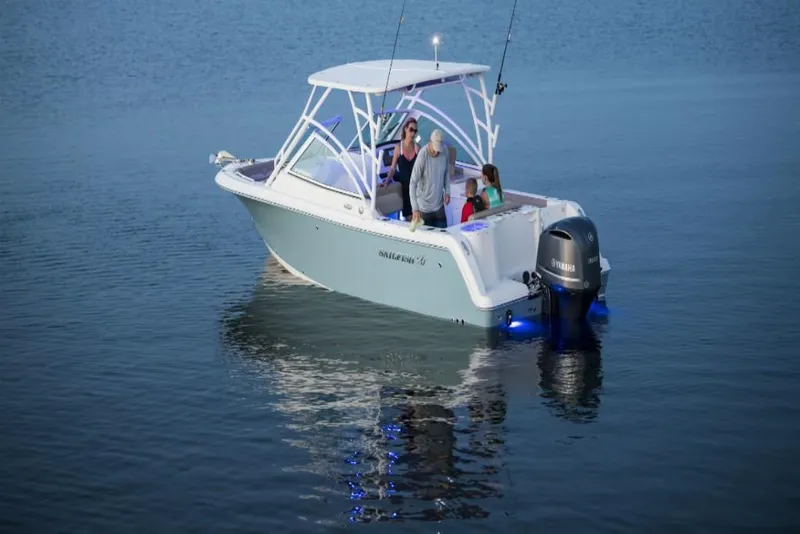 Slide: The Image of Sailfish 245 DC 2023 - 2