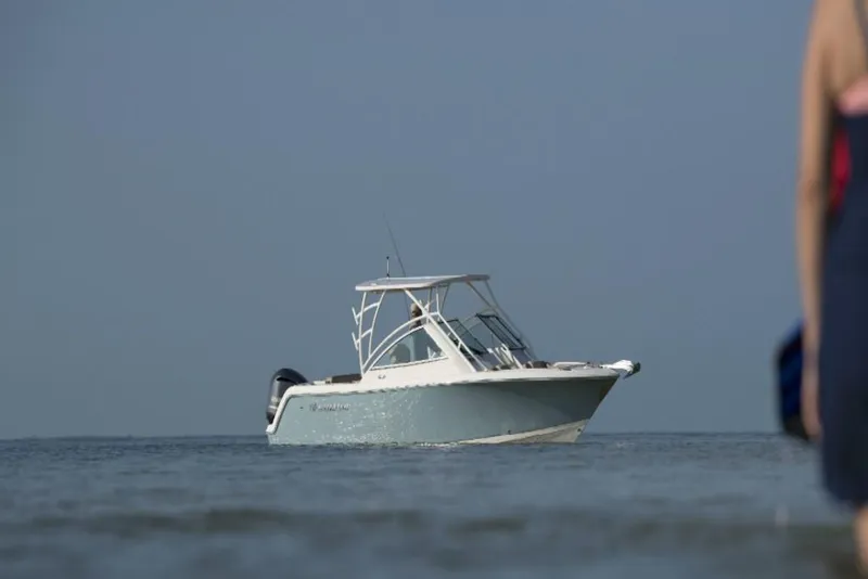 Slide: The Image of Sailfish 245 DC 2023 - 7