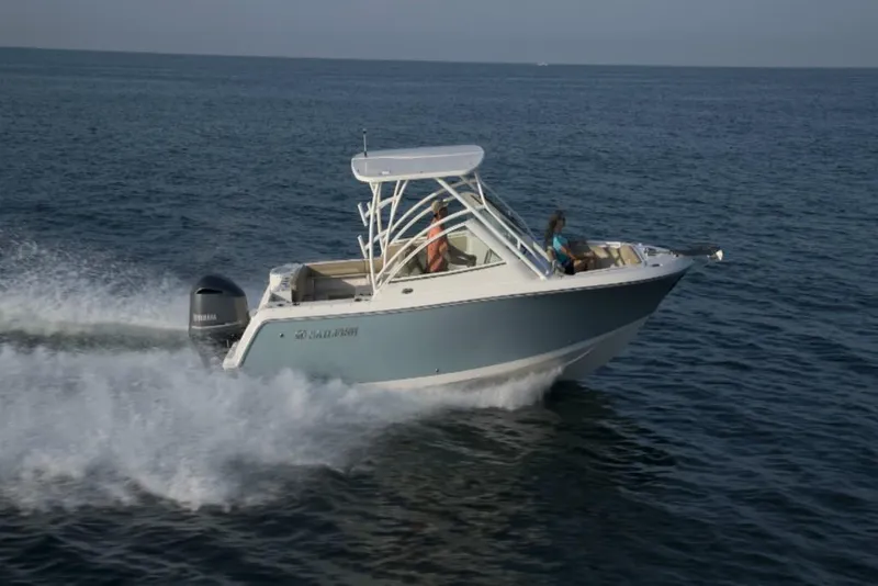 Slide: The Image of Sailfish 245 DC 2023 - 8