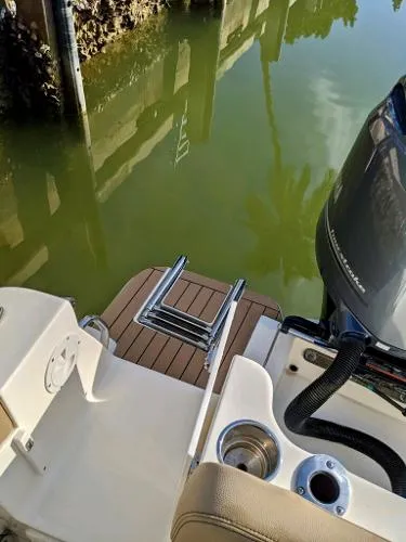 Slide: The Image of Scout 255 LXF 2018 - 7
