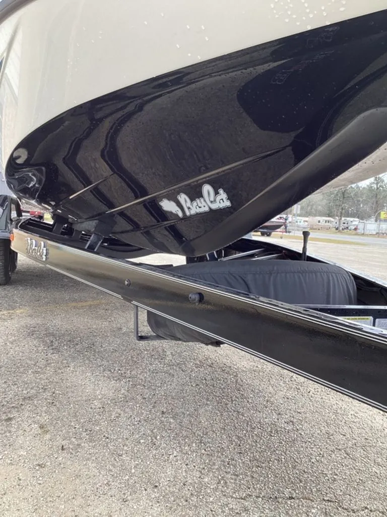 Slide: The Image of Bass Cat Jaguar STS 2026 - 16