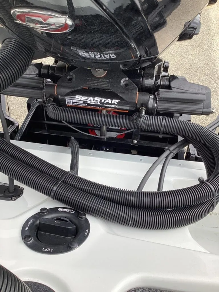 Slide: The Image of Bass Cat Jaguar STS 2026 - 23