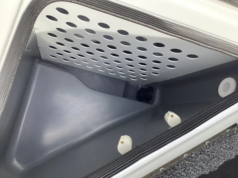 Slide: The Image of Bass Cat Jaguar STS 2026 - 32