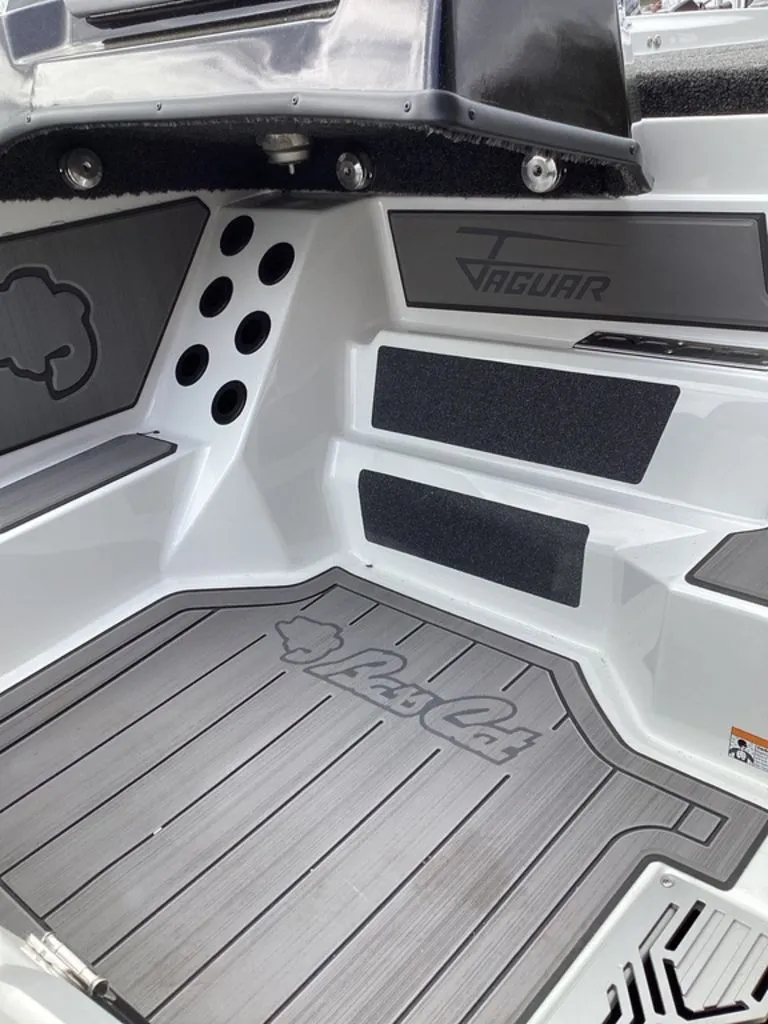 Slide: The Image of Bass Cat Jaguar STS 2026 - 46