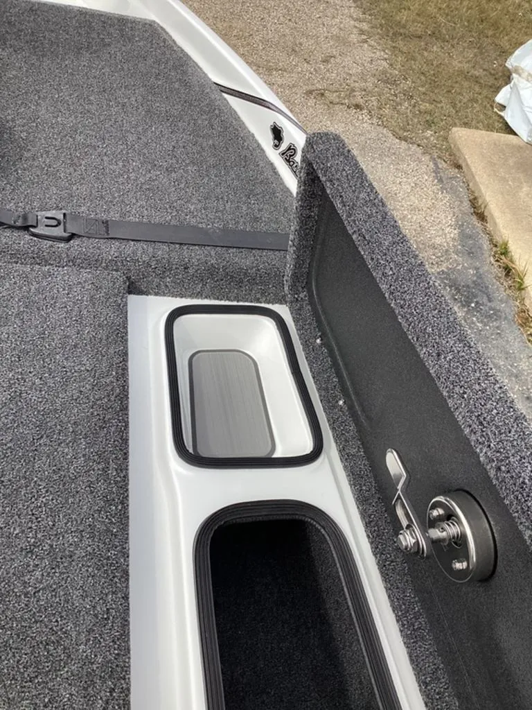 Slide: The Image of Bass Cat Jaguar STS 2026 - 68