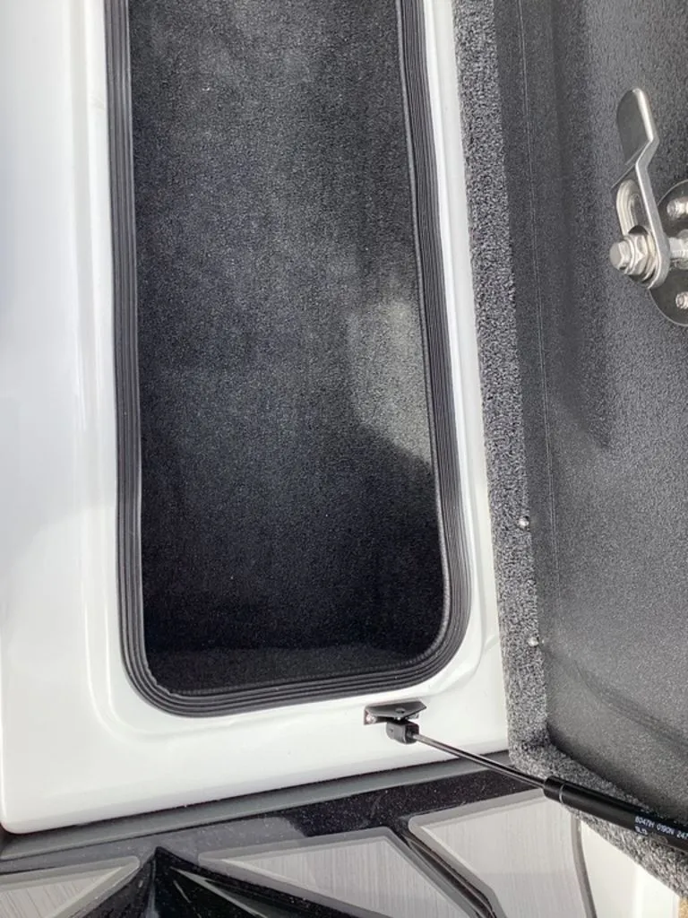 Slide: The Image of Bass Cat Jaguar STS 2026 - 69