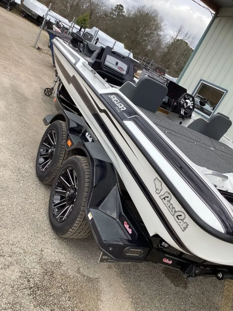 Slide: The Image of Bass Cat Jaguar STS 2026 - 7