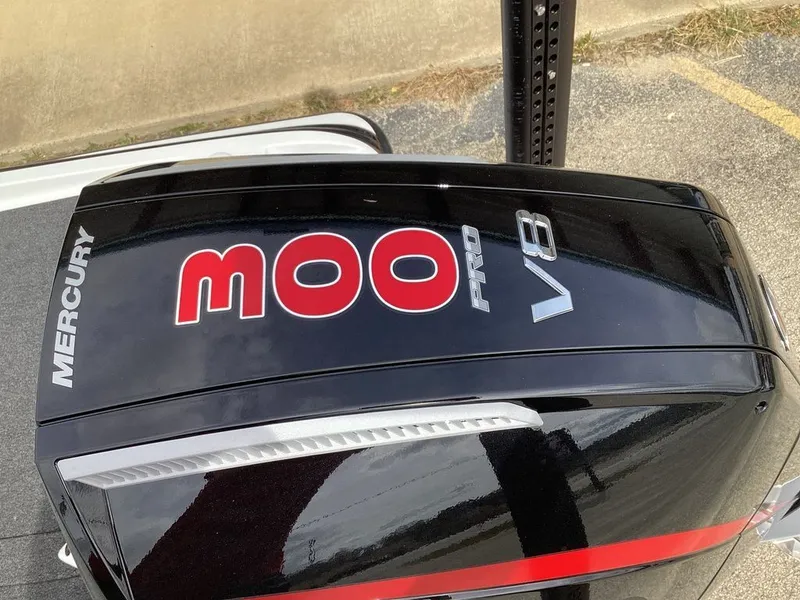 Slide: The Image of Bass Cat Jaguar STS 2026 - 81