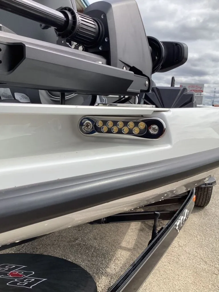 Slide: The Image of Bass Cat Jaguar STS 2026 - 85