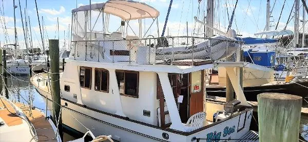 Slide: The Image of Marine Trader 36 Europa Sedan 1979 - 2