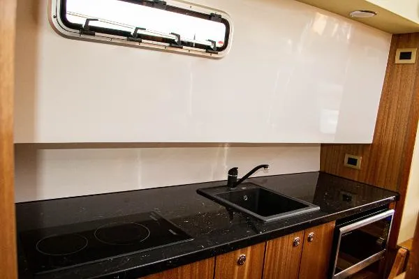 Slide: The Image of Monachus Issa 45 2019 - 10