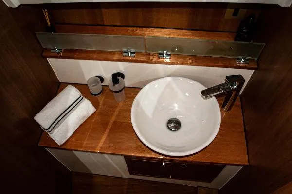 Slide: The Image of Monachus Issa 45 2019 - 6