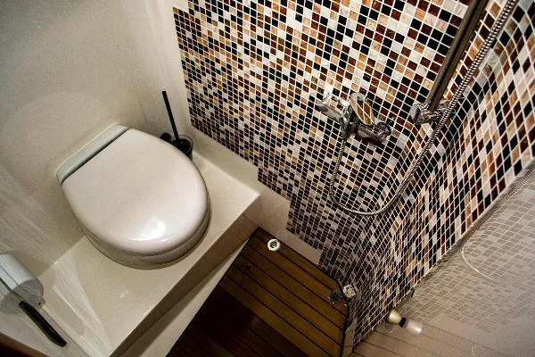 Slide: The Image of Monachus Issa 45 2019 - 8