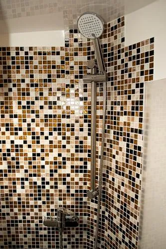 Slide: The Image of Monachus Issa 45 2019 - 9