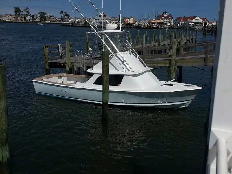 Slide: The Image of Bertram Flybridge Cruiser 1977 - 0