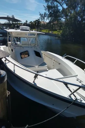 Slide: The Image of Ocean Master 31 Walkaround 1998 - 0
