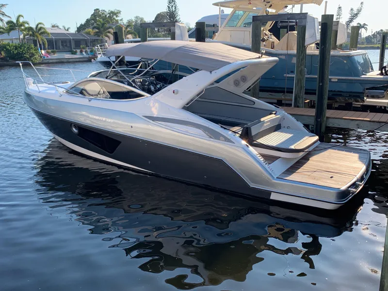 Slide: The Image of Schaefer 303 2019 - 0