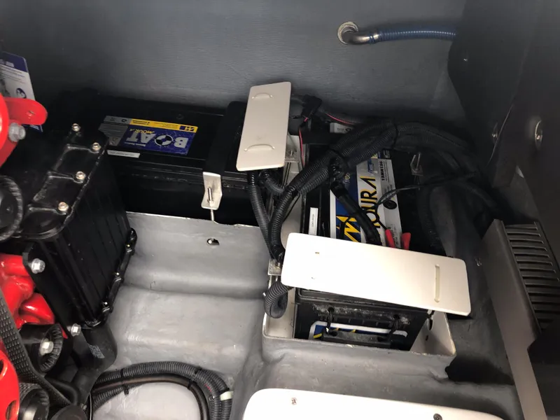 Slide: The Image of Schaefer 303 2019 - 11