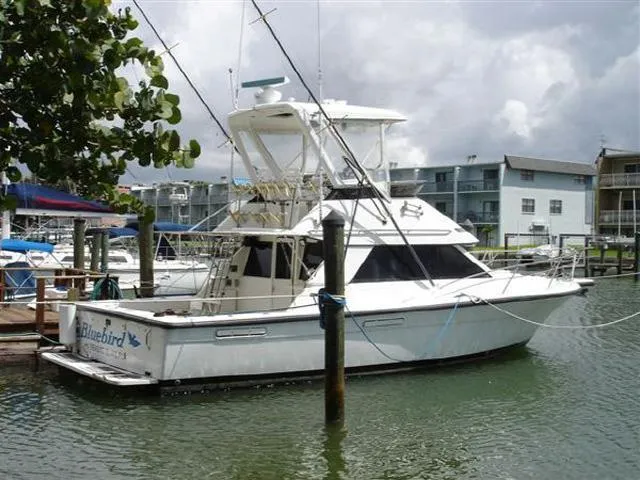Slide: The Image of Phoenix Bass Boat Convertible SFX 1991 - 0