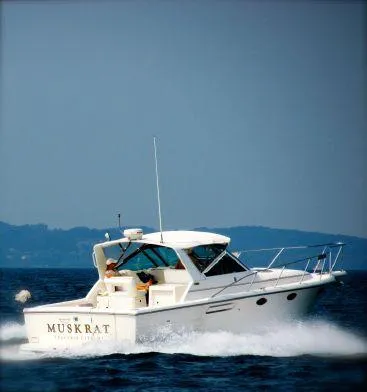 Slide: The Image of Tiara 31 Open 2000 - 0