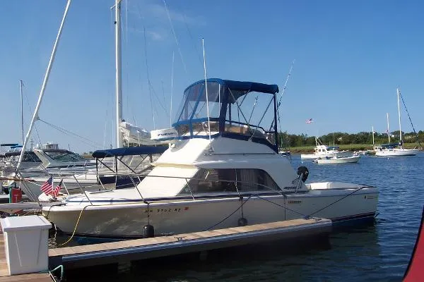 Slide: The Image of Phoenix Bass Boat 29 Convertible 1985 - 2