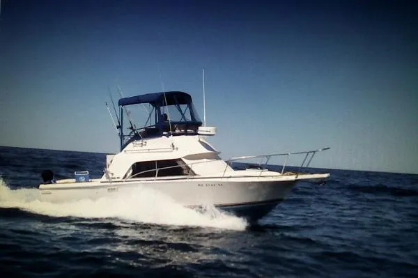 Slide: The Image of Phoenix Bass Boat 29 Convertible 1985 - 3