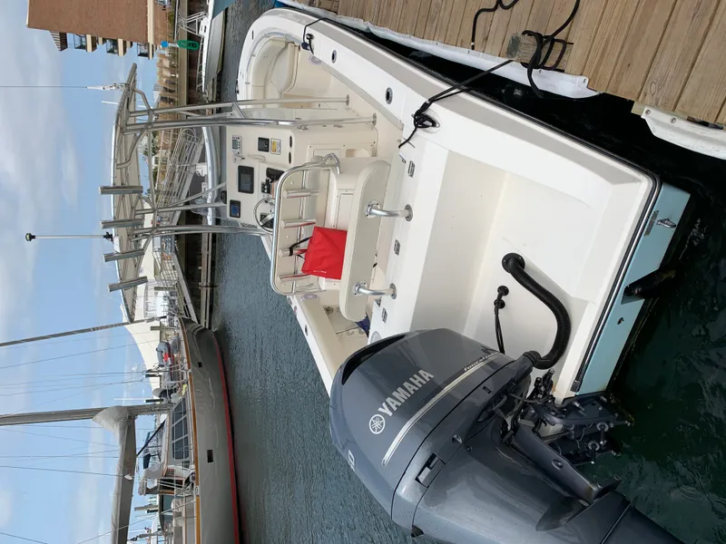 Slide: The Image of Cobia 237CC 2019 - 0