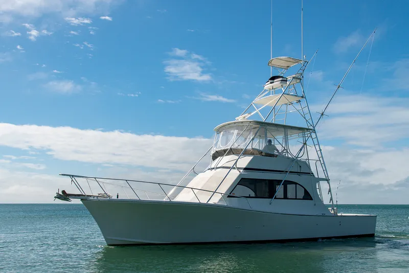 Slide: The Image of Torres Sportfish 1993 - 0