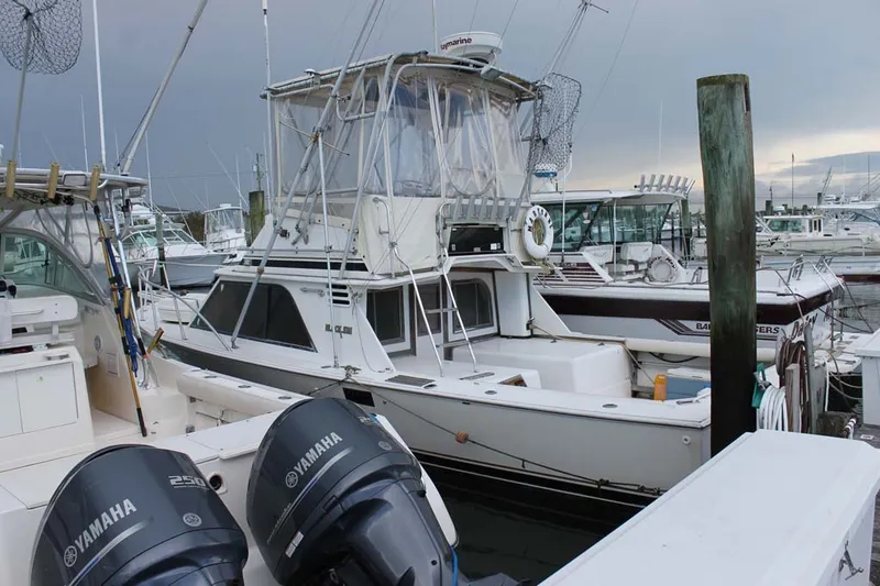 Slide: The Image of Blackfin Flybridge 1988 - 0