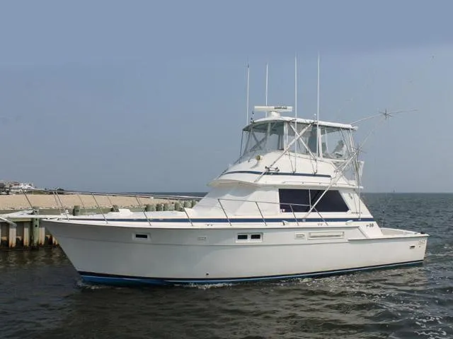 Slide: The Image of Bertram Convertible 1981 - 0