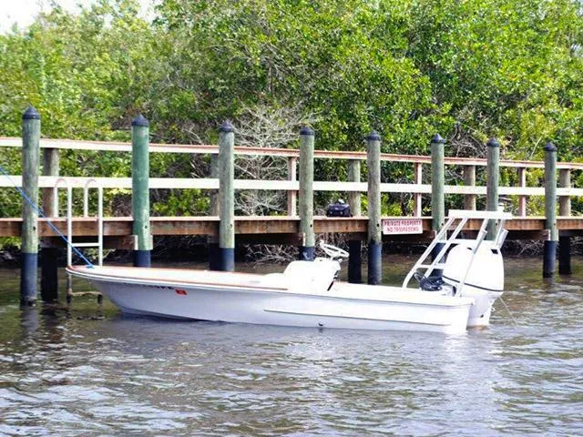 Slide: The Image of Chaos 16 BONEFISH 2009 - 0