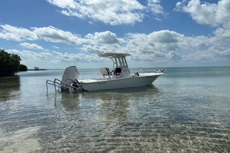 The Image of 2024 Tidewater 2500 Carolina Bay boat in shallow water under a partly cloudy sky. - 0