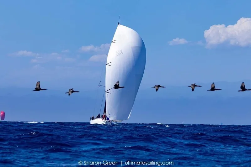 Slide: The Image of 2008 J Boats J/122 sailboat on open water, featuring sleek black sails. - 52