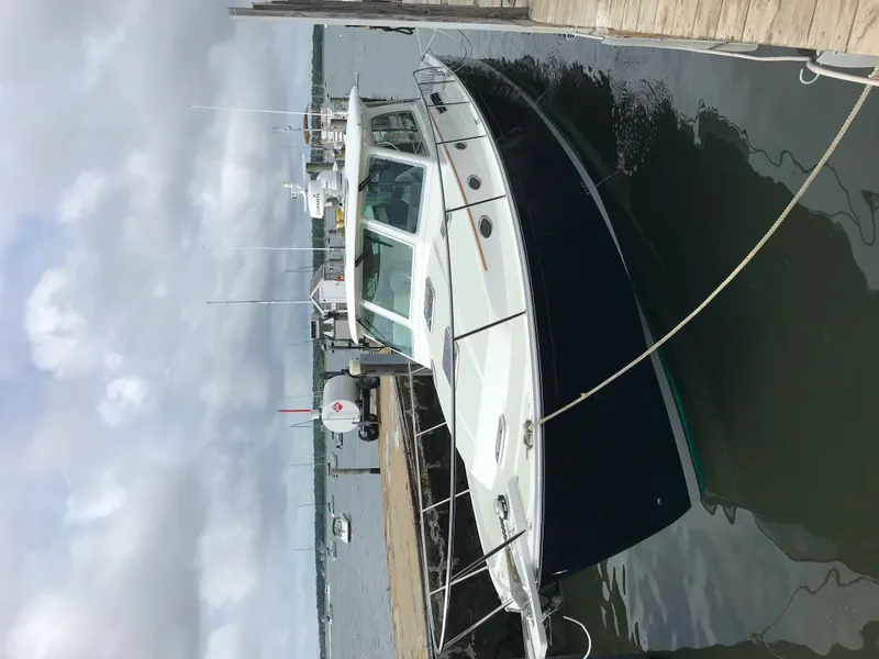 Slide: The Image of Back Cove 2017 - 0