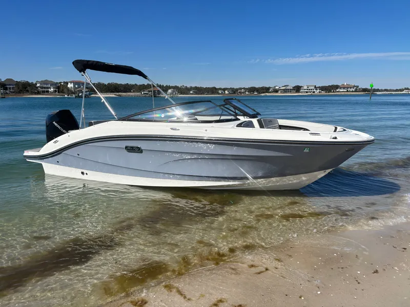 The Image of 2024 Sea Ray SPX 210 Outboard boat on sandy shore. - 0