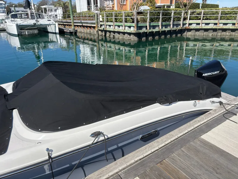 Slide: The Image of Sea Ray SPX 210 Outboard 2024 - 56