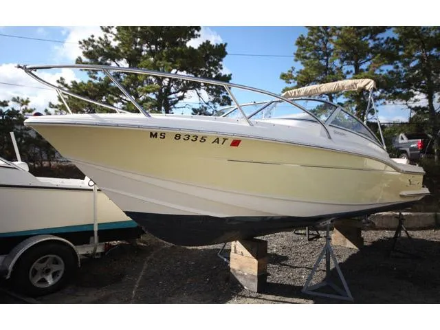 Slide: The Image of Scout 222 Dorado 2008 - 0