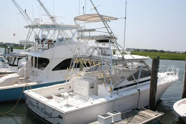 Slide: The Image of Blackfin Express Fish 1995 - 0