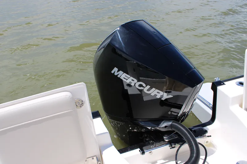 Slide: The Image of Boston Whaler 210 Montauk 2026 - 28